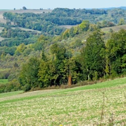 Les vallées à gauche de la route vers Montmaçon
