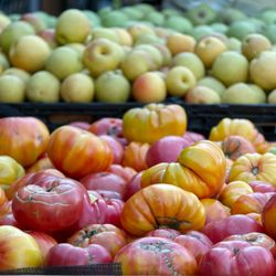 Talarico's Produce - Everything here deserves having a camera pointed at it