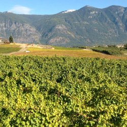 Skimmerhorn Winery & Vineyard