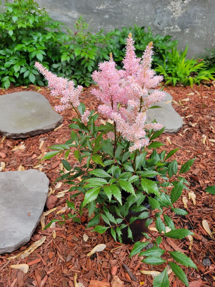 WEST END FLORIST & GARDEN CENTER Updated May 2024 48 Photos & 17