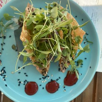 Little Fish - Spicy Tuna Tartare Taquitos - Seafood Near Me - Southold, New York Little Fish - Spicy Tuna Tartare Taquitos - Seafood Near Me - Southold, New York