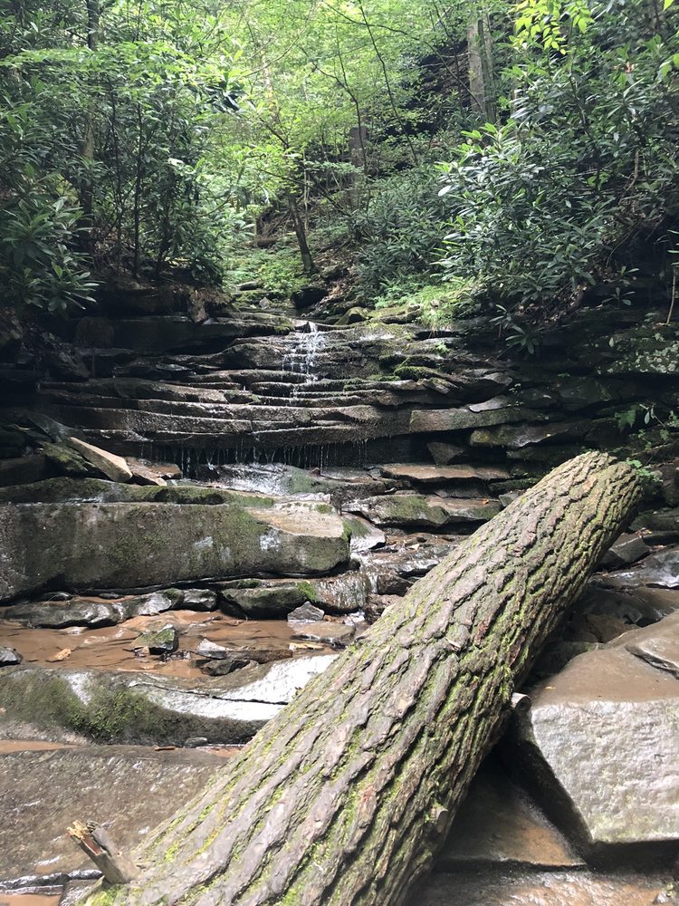 TROUGH CREEK STATE PARK 30 Photos 16362 Little Valley Rd, James