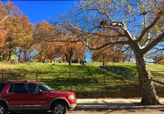 Leonard Gordon Park by null