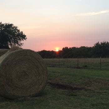 Inside Out - Horseback Riding Near Me - Van Alstyne, Texas