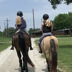 Equelite