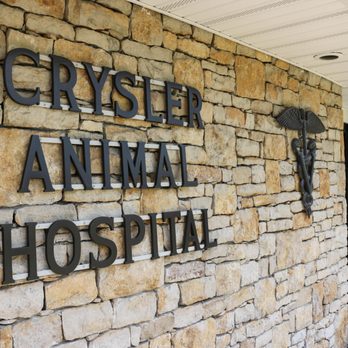 Crysler Animal Hospital - Veterinarians Near Me - Independence, Missouri Crysler Animal Hospital - Veterinarians Near Me - Independence, Missouri