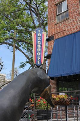 Fox & Goose Public House by null
