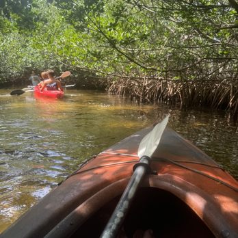 Lazy Dog Adventures - Mangroves - Rafting/Kayaking Near Me - Key West, Florida