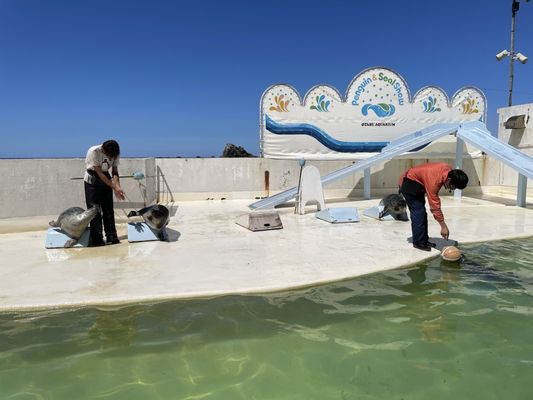 Otaru Aquarium by null