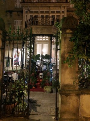 Kafe Botanika by null