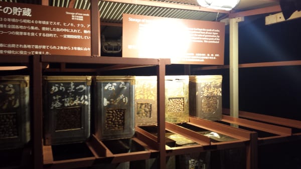 Fugaku Wind Cave by null