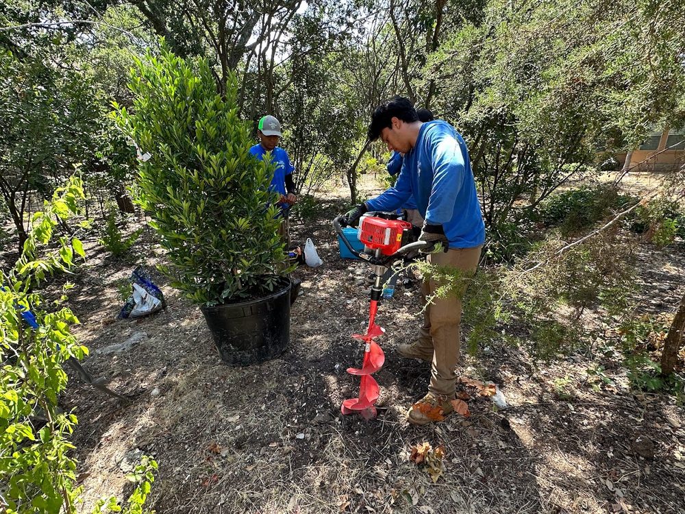 Vision Landscaping - veterans service organization in San Antonio, TX