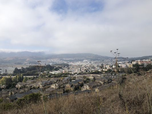 Bayview Park by null