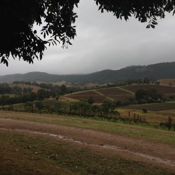 Mount View Estate - Wineries Near Me - Mount View, NSW