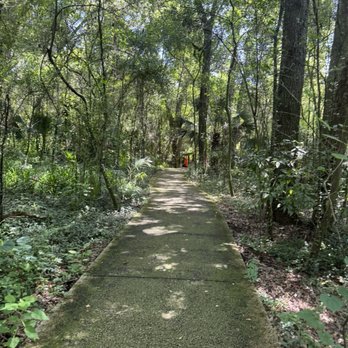 Tree Hill Jacksonville's Nature Center - Parks Near Me - Jacksonville, Florida
