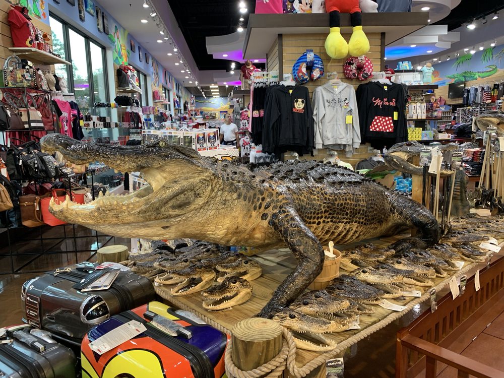 TREASURE ISLAND GIFT SHOP 158 Photos Souvenir Shops 12399 State