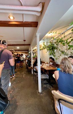 Black Sheep Bagel Cafe by null