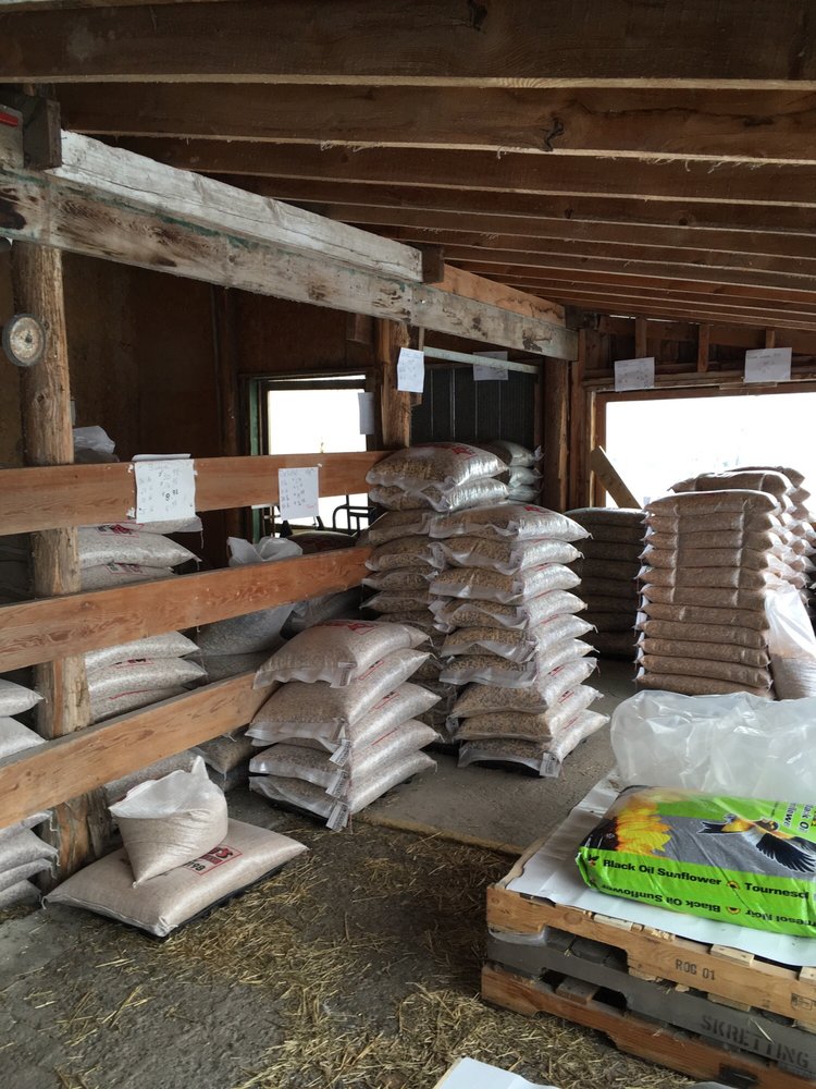 BRAGG’S WILD BIRD SEED Updated September 2024 3048 Concession Rd. 3