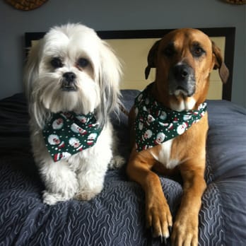 Fetch! Pet Care - Happy Fetch! Clients! - Dog Walkers Near Me Fetch! Pet Care - Happy Fetch! Clients! - Dog Walkers Near Me