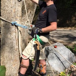 Crazy Irish Tree Service