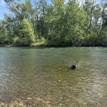 Boise River Greenbelt - The beautiful colors of the Boise River! - Hiking Near Me - Boise, Idaho Boise River Greenbelt - The beautiful colors of the Boise River! - Hiking Near Me - Boise, Idaho