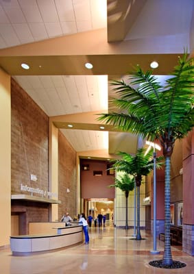 University Medical Center by null