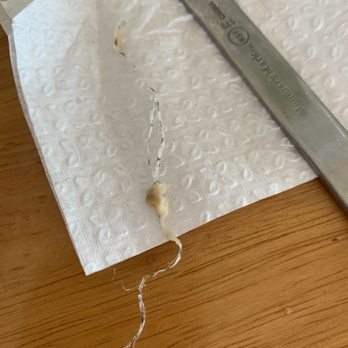 Solazo Taqueria - Plastic wrapped I pulled from my mouth after a spoonful of beans - Mexican Near Me - Jacksonville, Florida Solazo Taqueria - Plastic wrapped I pulled from my mouth after a spoonful of beans - Mexican Near Me - Jacksonville, Florida