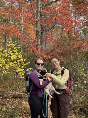 Harriman State Park by null