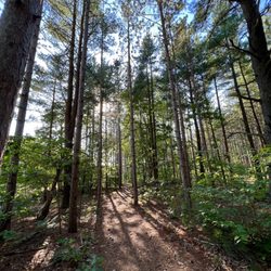 Riley Trail Park