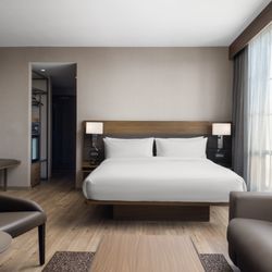 AC Hotel Dayton - Guest Room
