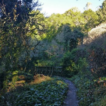 Matt Davis-Steep Ravine Loop - Matt Davis Trail - Hiking Near Me - Stinson Beach, California Matt Davis-Steep Ravine Loop - Matt Davis Trail - Hiking Near Me - Stinson Beach, California