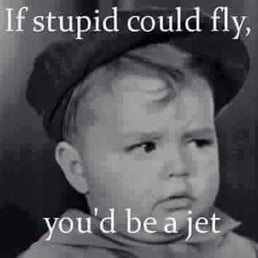 a baby wearing a hat with the words if stupid could fly, you'd be a jet a baby wearing a hat with the words if stupid could fly, you'd be a jet