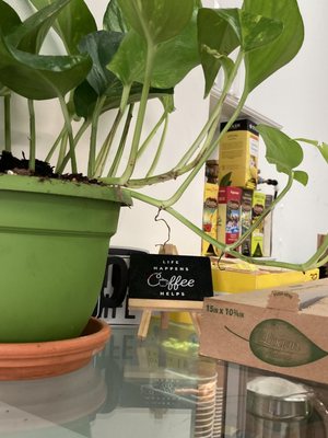 Aroma Coffee Shop by null