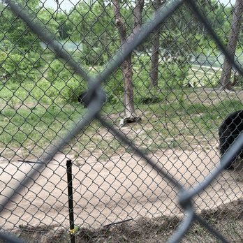Oswald's Bear Ranch - Zoos Near Me - Newberry, Michigan