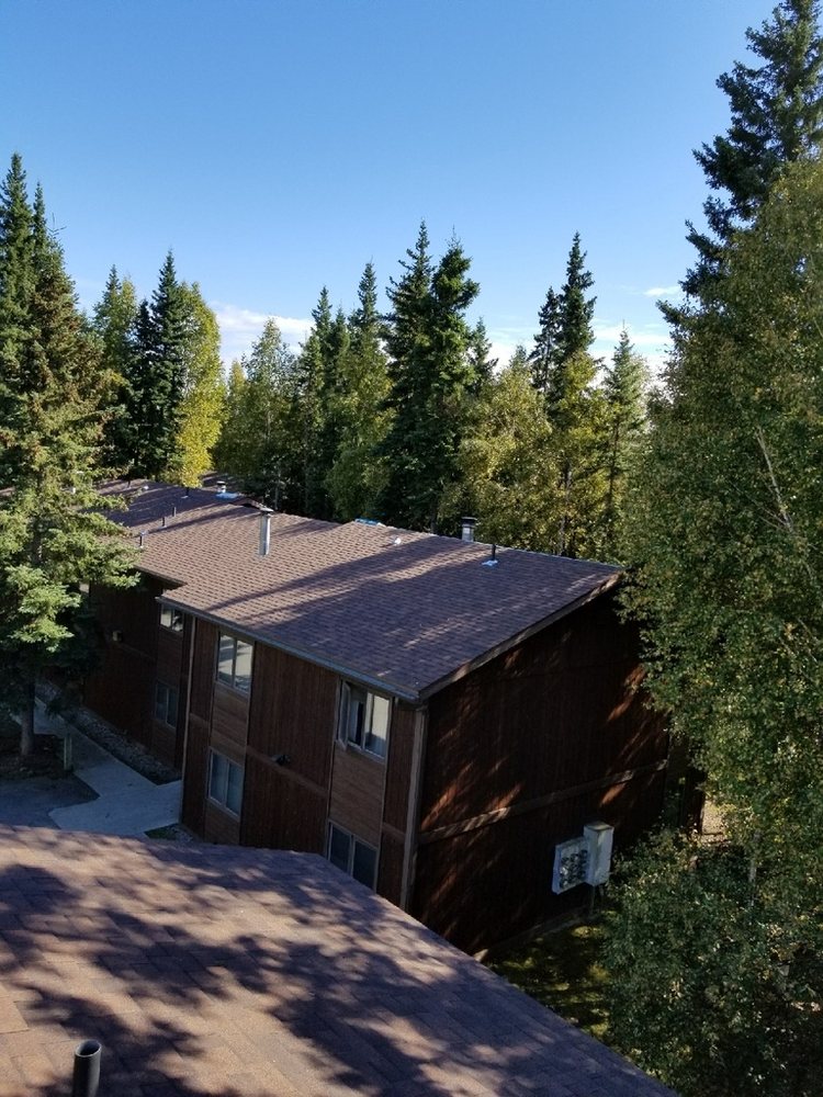 Slide of ACE Roofing