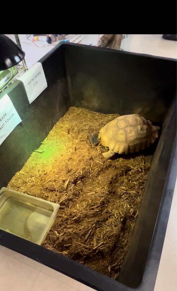 Alligator Alley - reptile breeding in Oklahoma City, OK