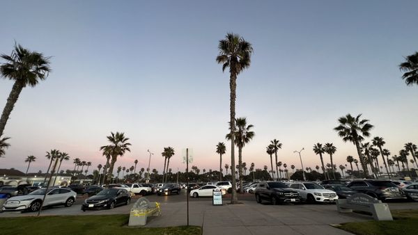 Mission Beach Park by null