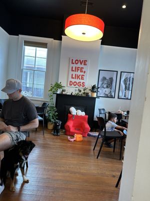 Fur Bébé Cafe by null