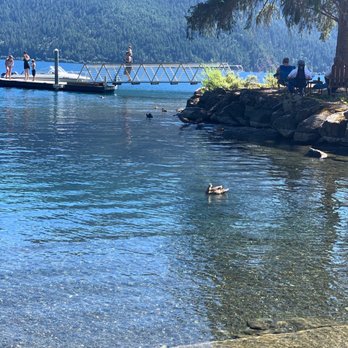 Lake Crescent - By the rentals getting greeted by the local ducks - Hiking Near Me - Port Angeles, Washington