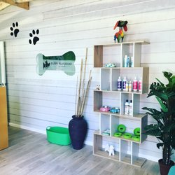 Puppy Playground Dog Day Care