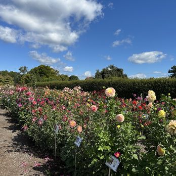 White Flower Farm - Nurseries & Gardening Near Me - Morris, Connecticut White Flower Farm - Nurseries & Gardening Near Me - Morris, Connecticut