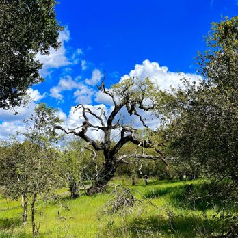 Howarth Park - Parks Near Me - Santa Rosa, California