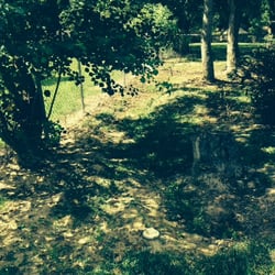 Mitch Moore Contracting