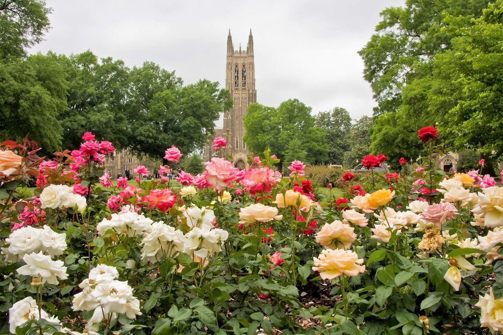 HUSSEY 3104 Croasdaile Dr, Durham, North Carolina Real Estate Agents Phone Number