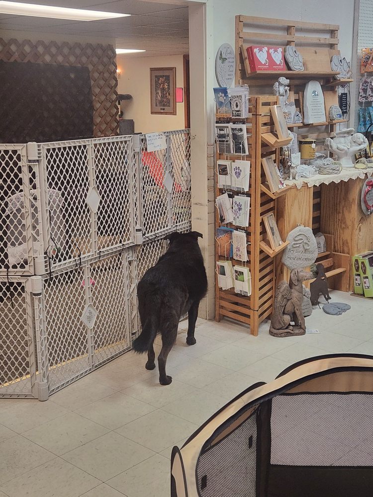 WILD BIRD BARN BARABOO GIFT SHOP Updated September 2024 11 Photos