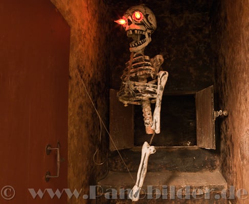 Beer & Oktoberfest Museum by null