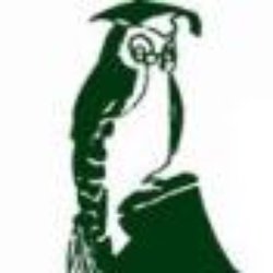 The Wise Owl / OpeningMinds.ie - The Wise Owl