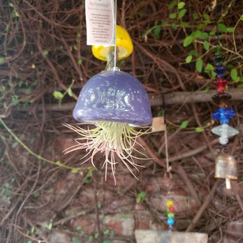 FiG Curated Living - Clever air plant holder - Flowers & Gifts Near Me - Ojai, California FiG Curated Living - Clever air plant holder - Flowers & Gifts Near Me - Ojai, California