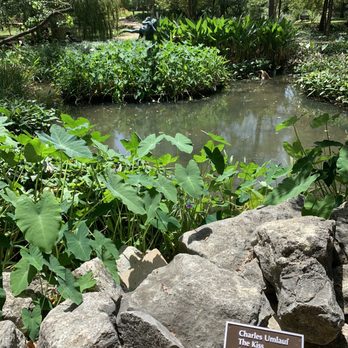 Austin, Texas - Sculpture garden - Local Flavor Near Me