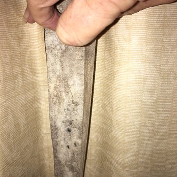 This Is Mold Behind The Wall Paper Now I Know Why It Smells In